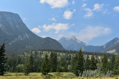 Scenic view of landscape and mountains against sky