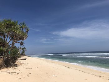 Scenic view of beach against sky