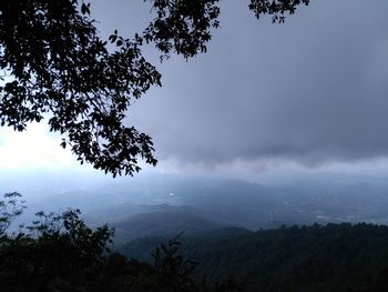 Scenic view of tree mountain against sky