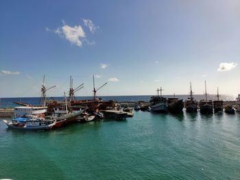 Sailboats moored in harbor