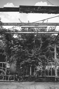 Low angle view of trees and buildings against sky