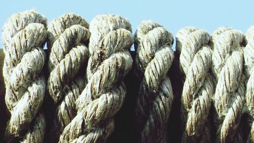 Close-up of ropes against clear sky