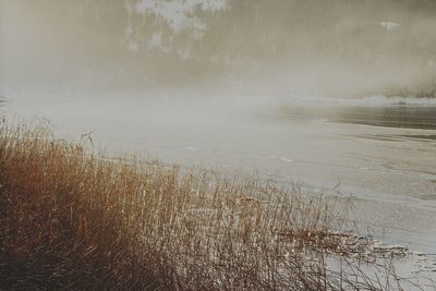 Scenic view of land during winter