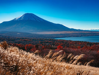 Scenic view of snowcapped mountain against blue sky