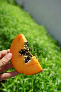 Close-up of hand holding orange