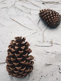 High angle view of pine cone on table