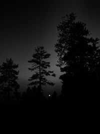 Low angle view of silhouette trees against sky at night
