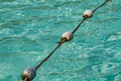 High angle view of buoy in torquiose sea