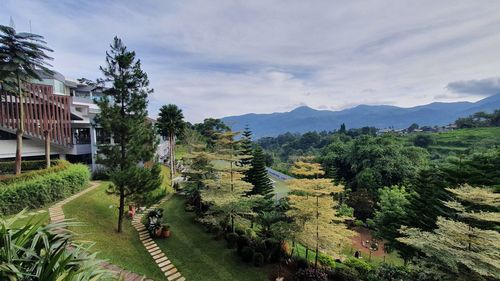 Panoramic shot of trees on field against sky