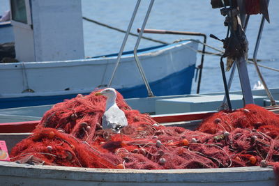 Close-up of fishing net on boat