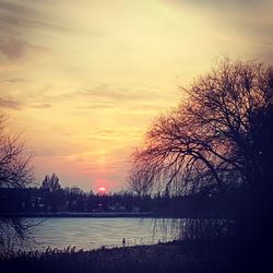 Silhouette bare trees by lake against sky during sunset