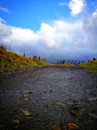 Scenic view of tree against sky