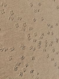 High angle view of footprints on sand