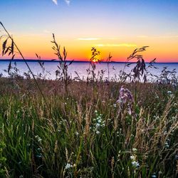 Scenic view of sea against sky during sunset