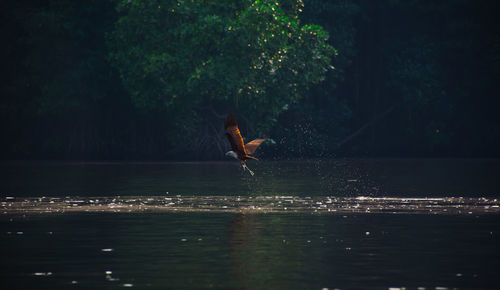 Person paragliding over lake against trees