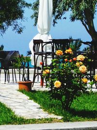Flower trees and plants against sky