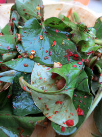 High angle view of red leaves in lake