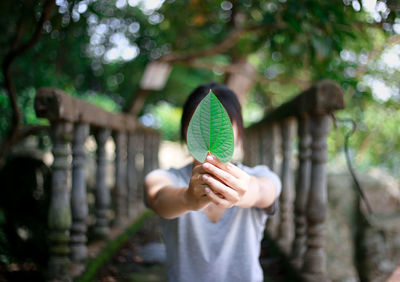 Close-up of woman hiding face with leaf