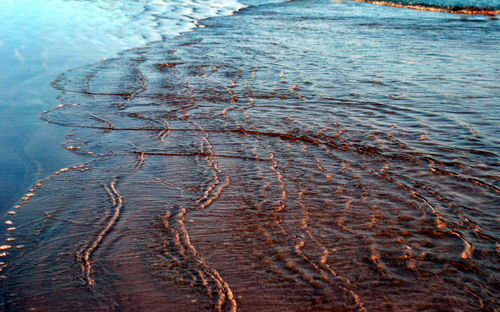 High angle view of waves reaching shore at beach during sunset