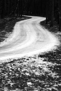 Surface level of snow covered road in forest