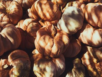 Full frame shot of pumpkins for sale at market stall