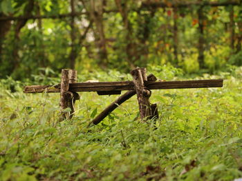 Close-up of rusty chain on grass