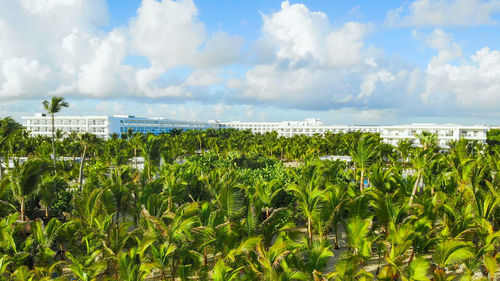 Aerial view of beautiful hotel in athlantic ocean at sunrise