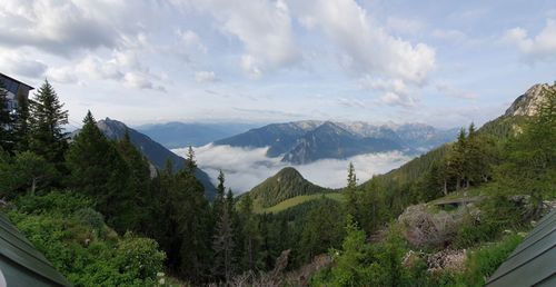 High angle view of trees on landscape against sky