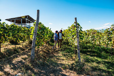 Couple in a vineyard in georgia