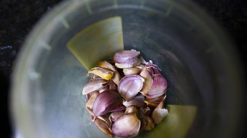 High angle view of eggs in container