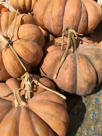 High angle view of pumpkins for sale