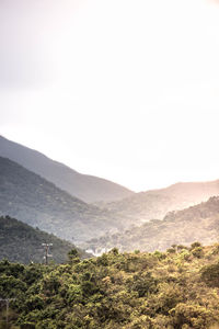 Scenic view of landscape against clear sky