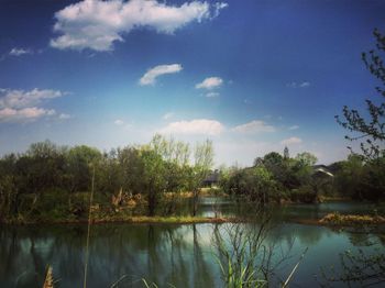 Scenic view of lake in forest against sky