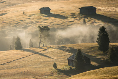 Scenic view of landscape