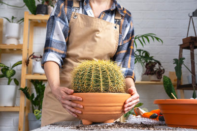 Midsection of woman holding potted plant