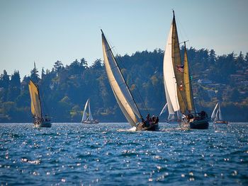 Sailboats racing in sea against clear sky