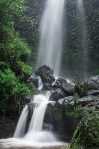 Scenic view of waterfall in forest