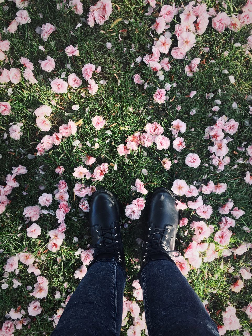 LOW SECTION OF PERSON STANDING BY FLOWER PLANT