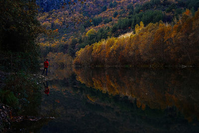 autumn