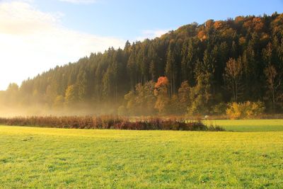 Scenic view of field against sky during autumn