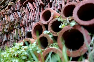 Close-up of abandoned pipes and roof tiles