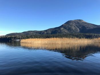 Scenic view of lake against clear blue sky