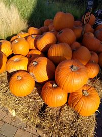 Full frame shot of orange pumpkins in field