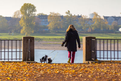 Rear view of woman with dogs standing in front of river