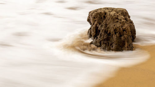 Close-up of rock on beach