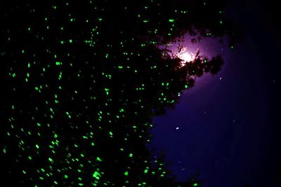 Close-up of illuminated star field against sky at night