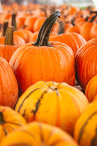 Full frame shot of pumpkins for sale