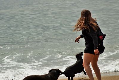 Rear view of woman with dog on beach