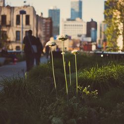 Woman looking at city