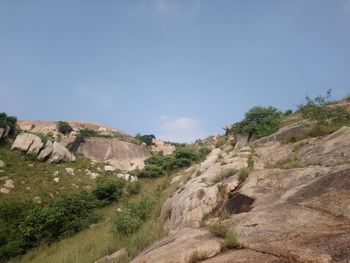 Scenic view of landscape against clear sky